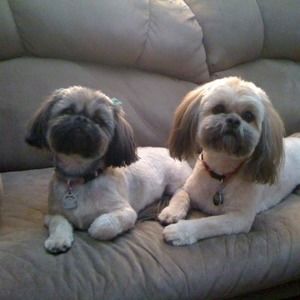 Meet your Posher, Marilyn